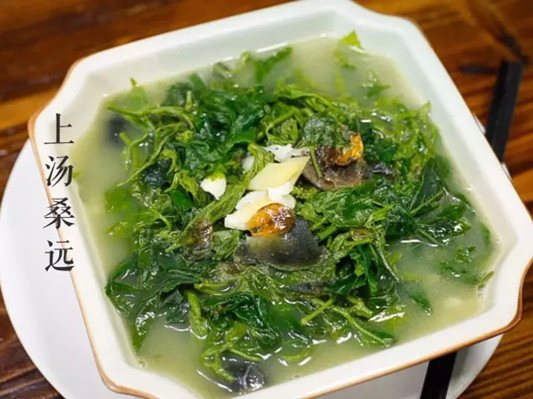 上汤桑叶
