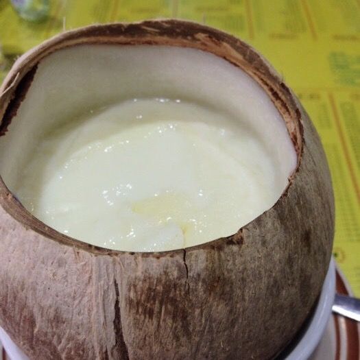 原只椰子炖双皮奶