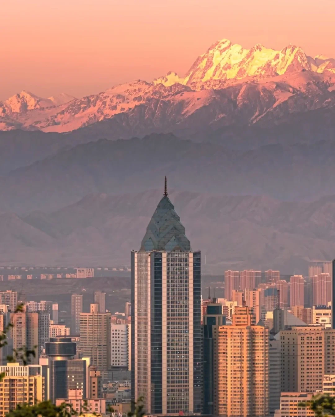 红山公园 中信大厦