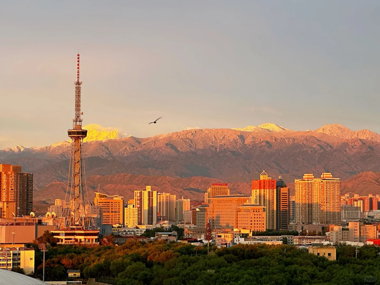 红山公园 乌鲁木齐电视塔