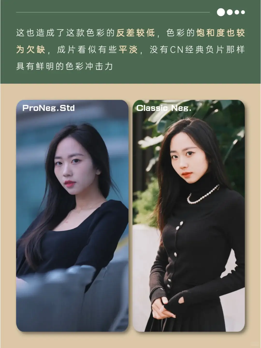 Pro Neg Std 示例图一