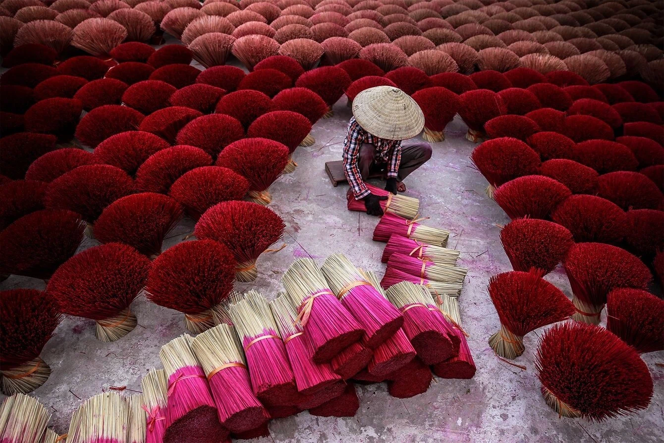 《Field of Fragrance》Tran Tuan Viet